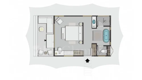 T5+ Layout Design