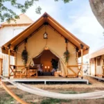 Safari Tent B Series