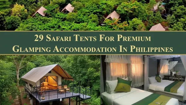 Safari Tent for Premium Glamping Accommodation at The Playground, Philippines
