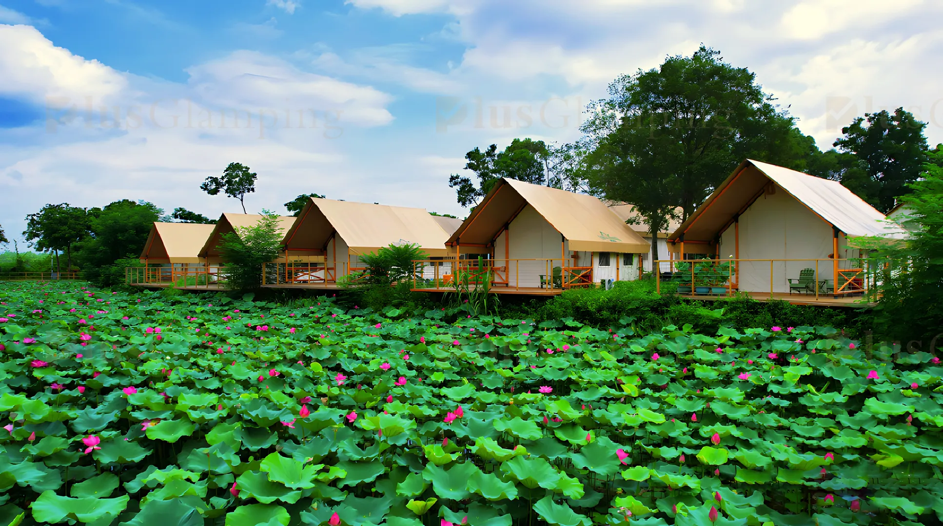 Safari Tents Glamping Resort Riverside