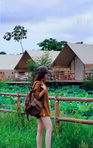 Safari Tents by Lotus Pond