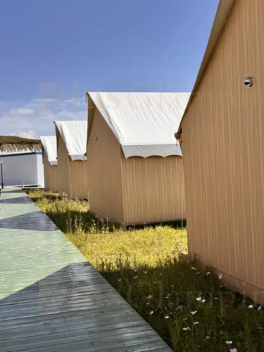 Back of the Safari Tent