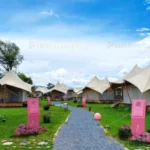 Stretch Tent Glamping Solution: Garden Glamping Retreat