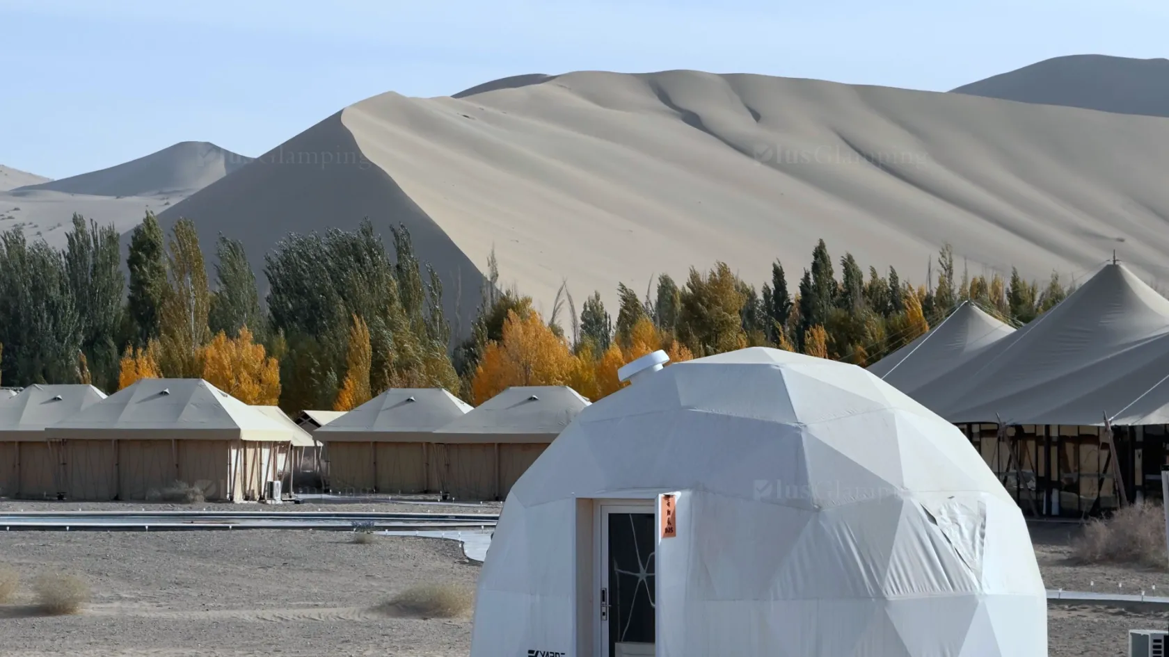 Glamping Dome & Safari Tents